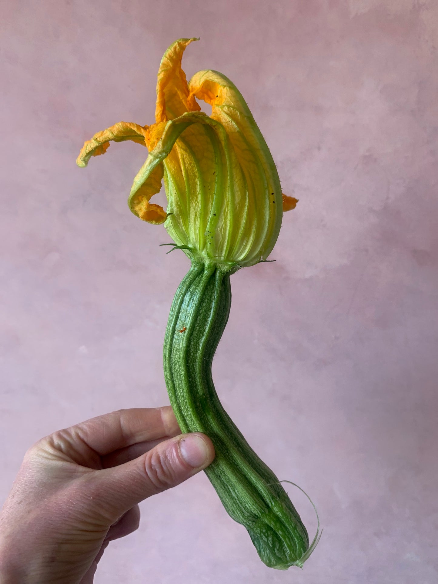 Studio mix subscription - Enjoy one on-demand class each month and watch at a time that suits you