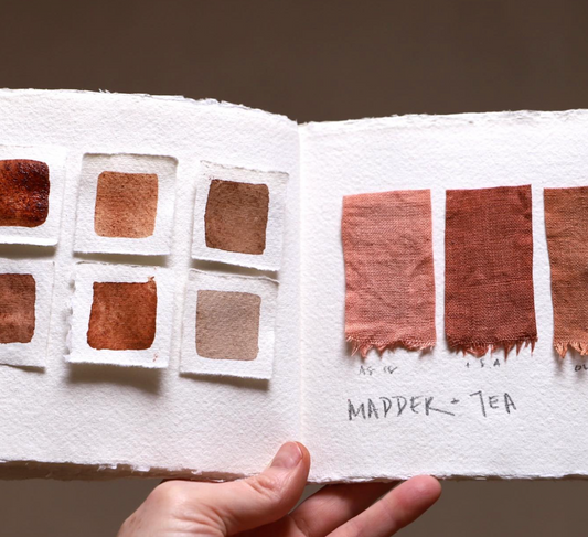 Botanical inks and paint making with Kathryn Davey, 28th April 2026