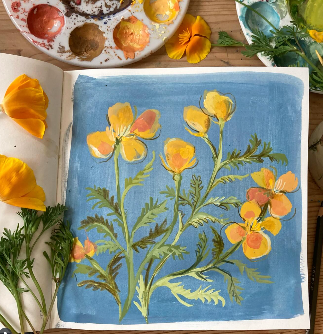 Gouache and water colour pencils with Clare Therese Gray, 17th Sept 2024