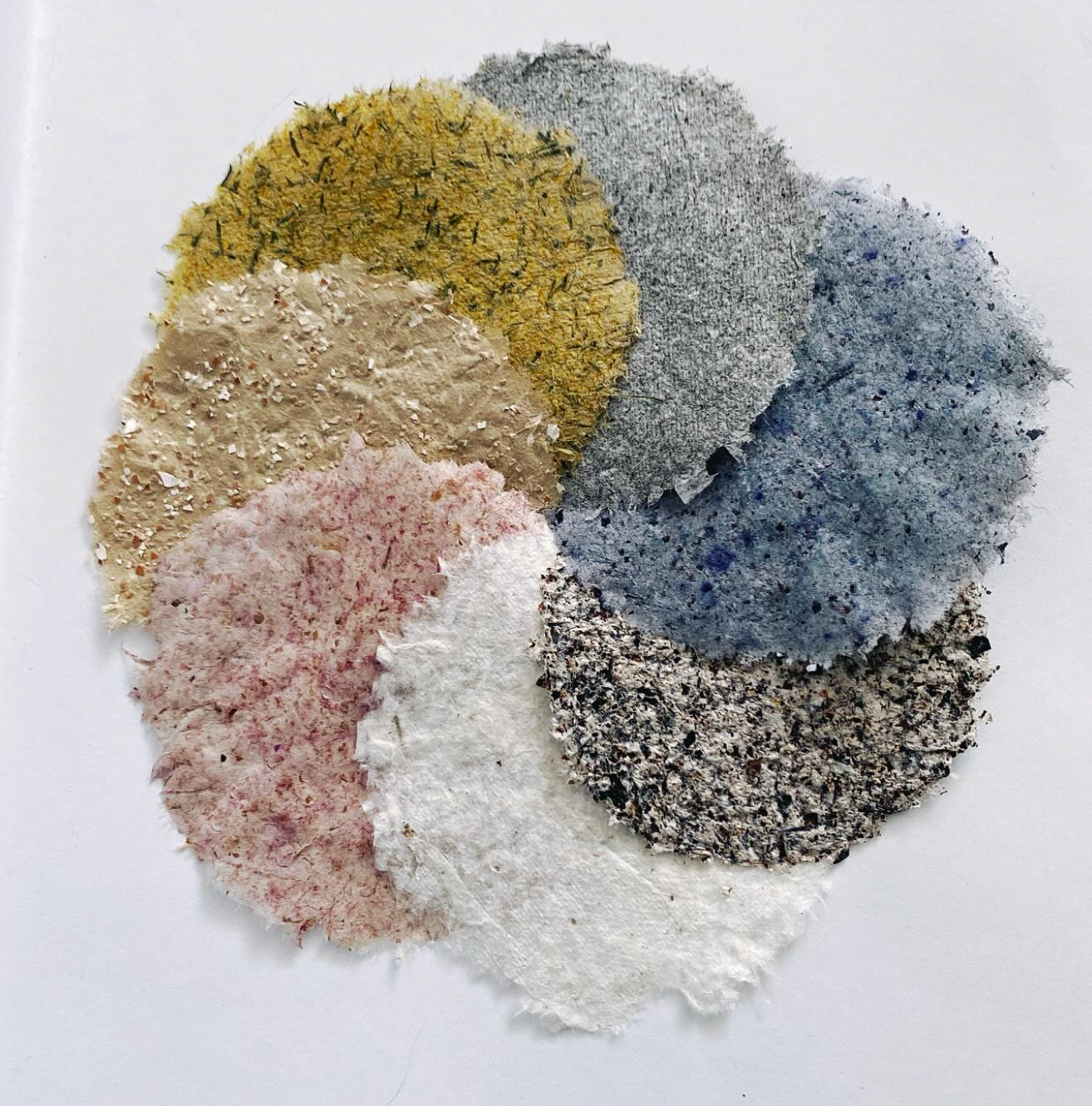 Paper making out of household waste with Sarah Grace Dye, 24th March 2026