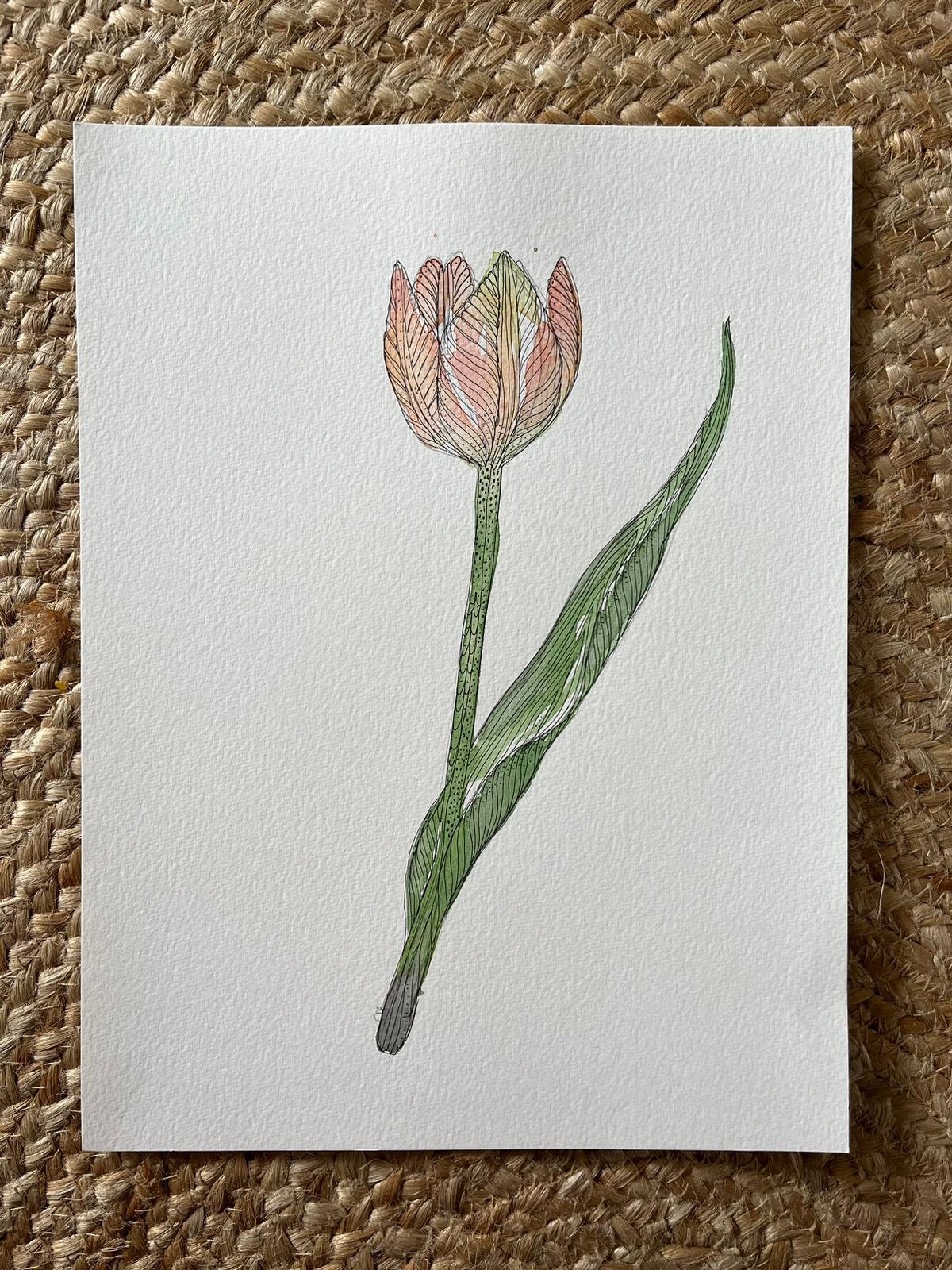 Water colour, pencils and fineliners with Polly Mabel Illustration, 26th Mar 2024