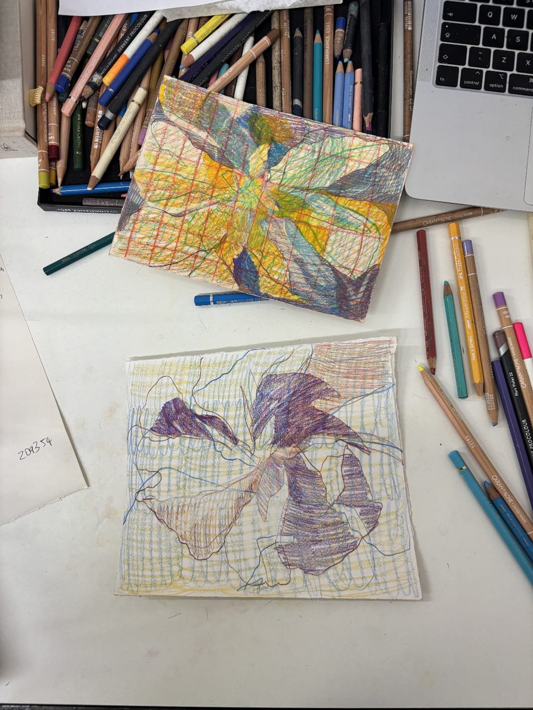 Colour pencil drawing with Orla Kane, 29th April 2025