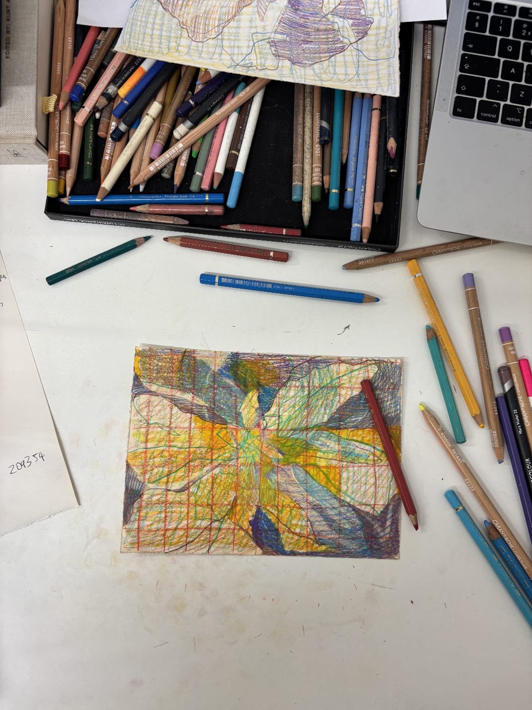 Colour pencil drawing with Orla Kane, 29th April 2025