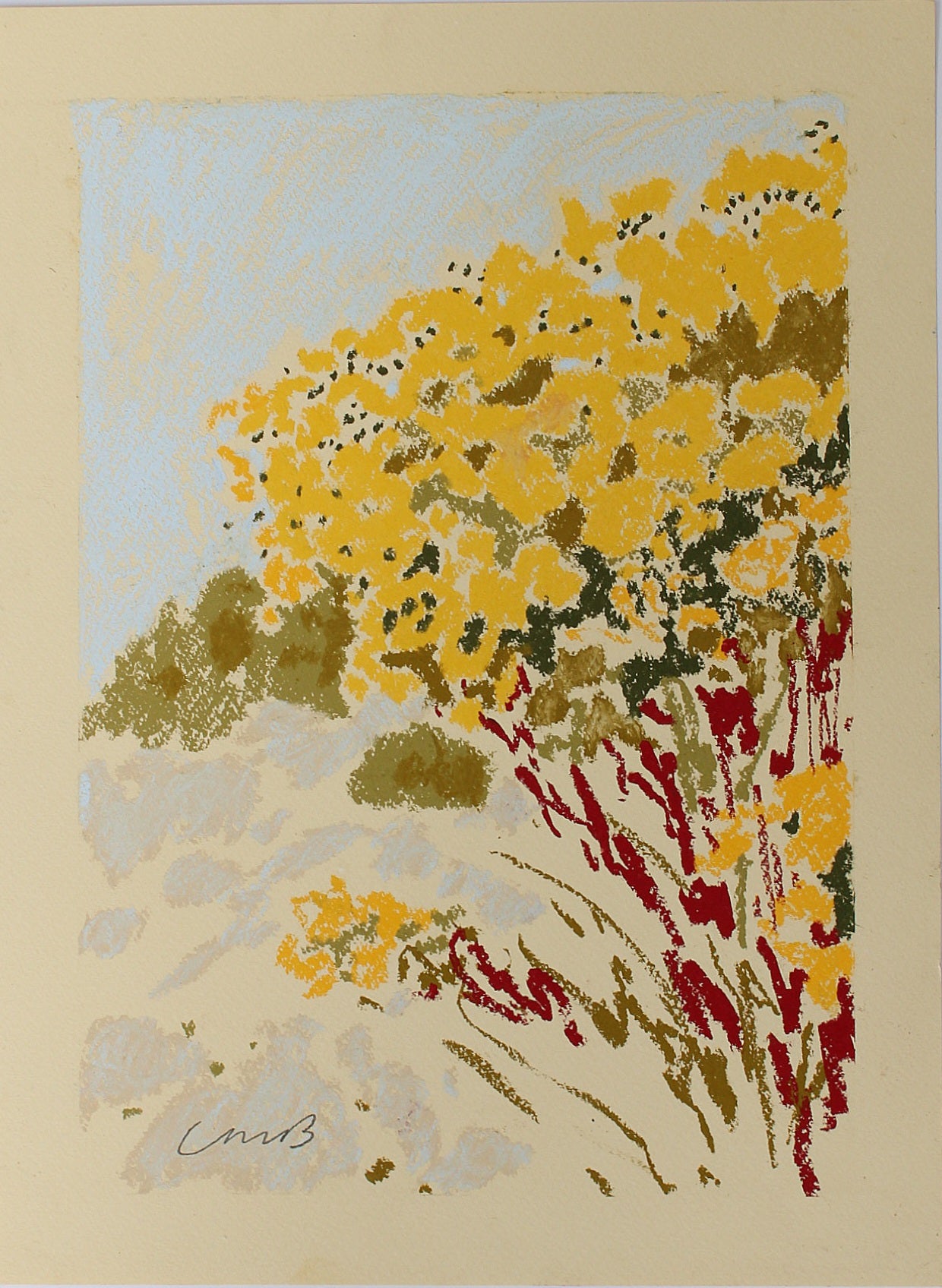 Soft pastel drawing with Laura Brown, 13th May 2025