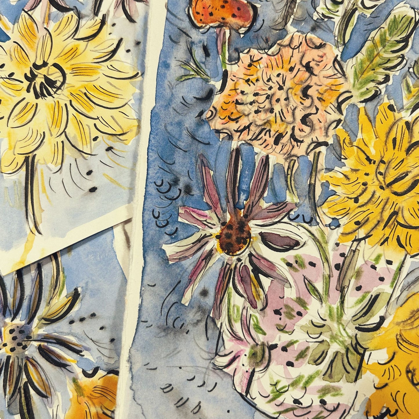 Watercolour and fineliner drawing with Louise Boulter, 23rd September 2025