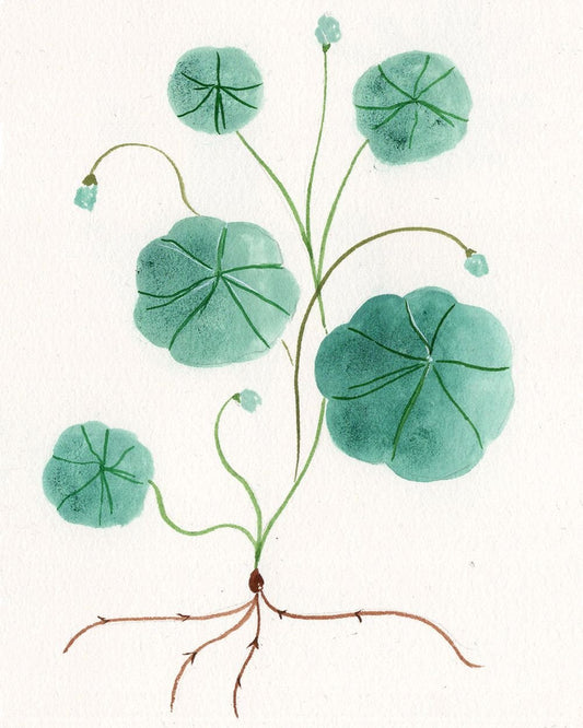 Gouache painting with Flora Waycott, 19th Sept 2023