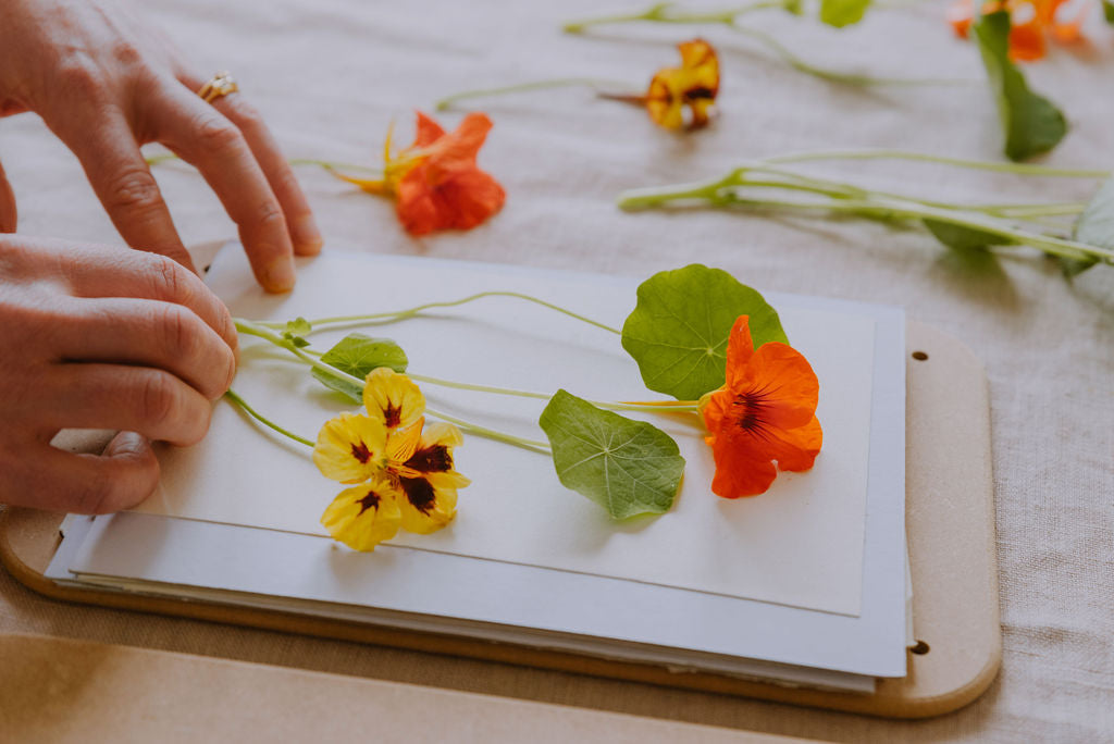 Flower pressing and making Botanical Artworks