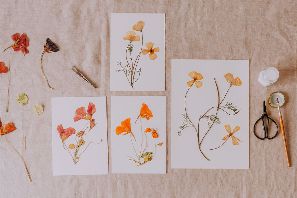Flower pressing and making Botanical Artworks