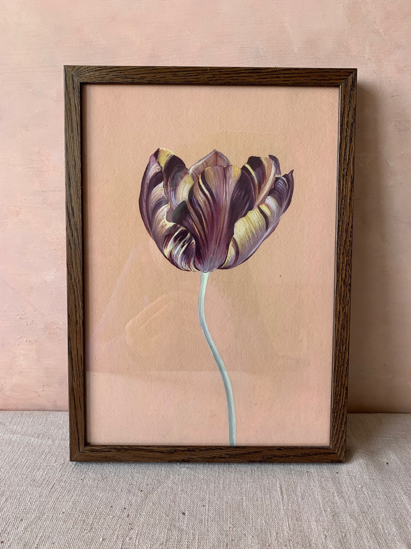 Historic tulip V11 by Rosanna Morris, A4