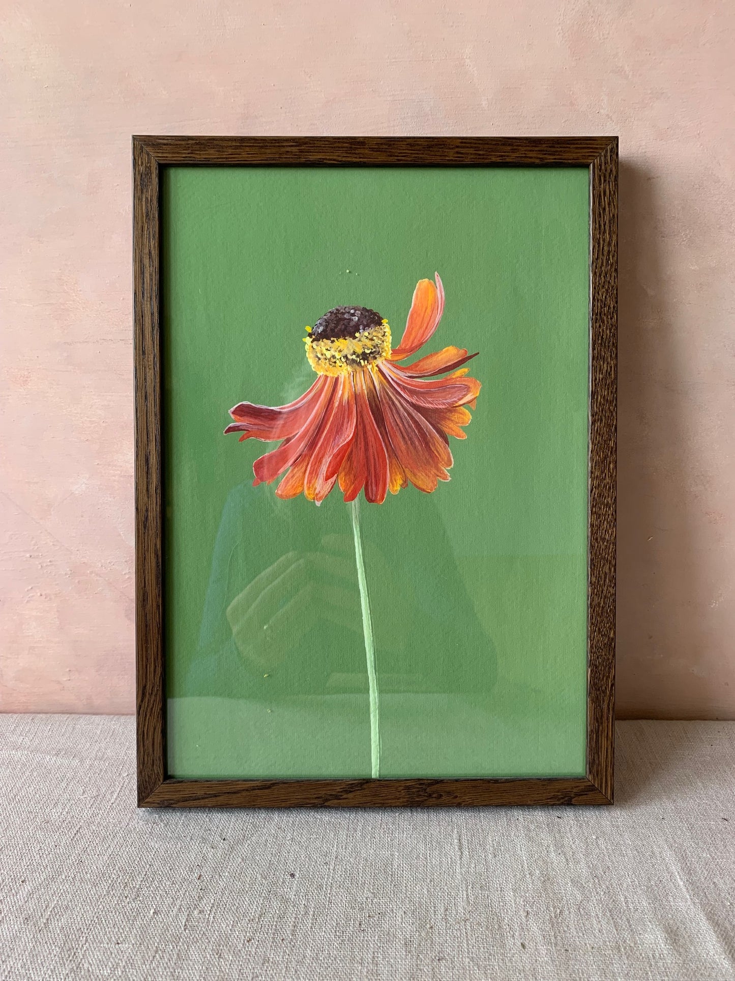 Helenium V111 by Rosanna Morris, A4