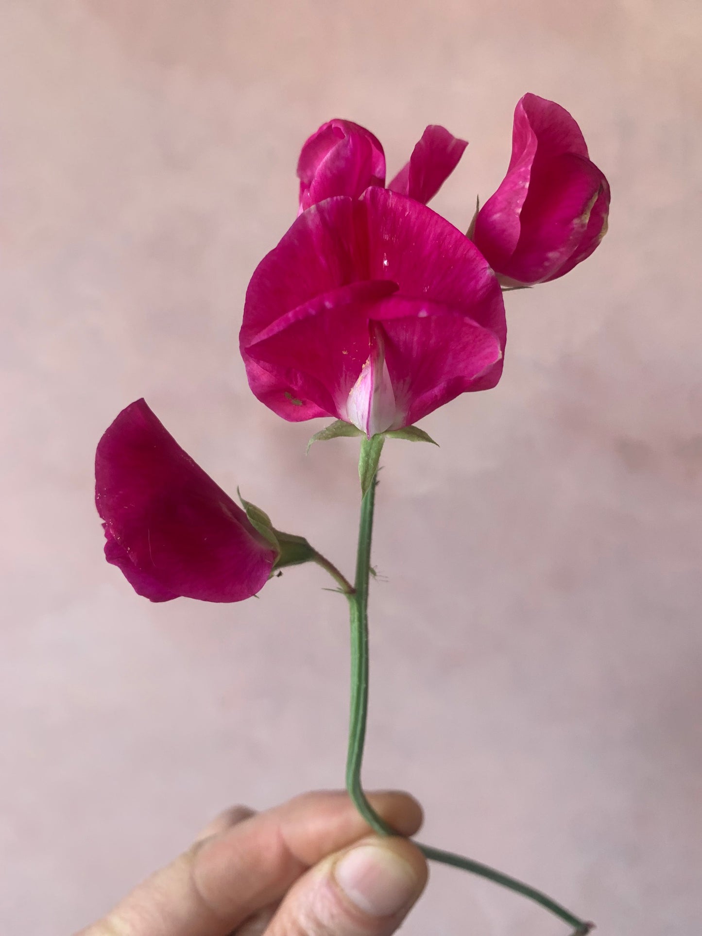 Live and learn subscription - Join one new live class each month and create alongside inspiring artists from around the world.