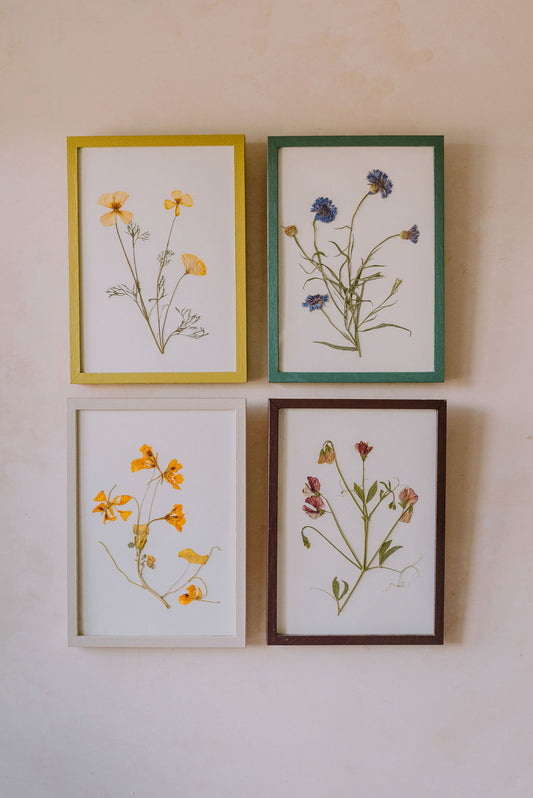 Flower pressing and making Botanical Artworks