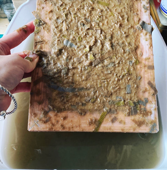 Paper making out of household waste with Sarah Grace Dye, 24th March 2026