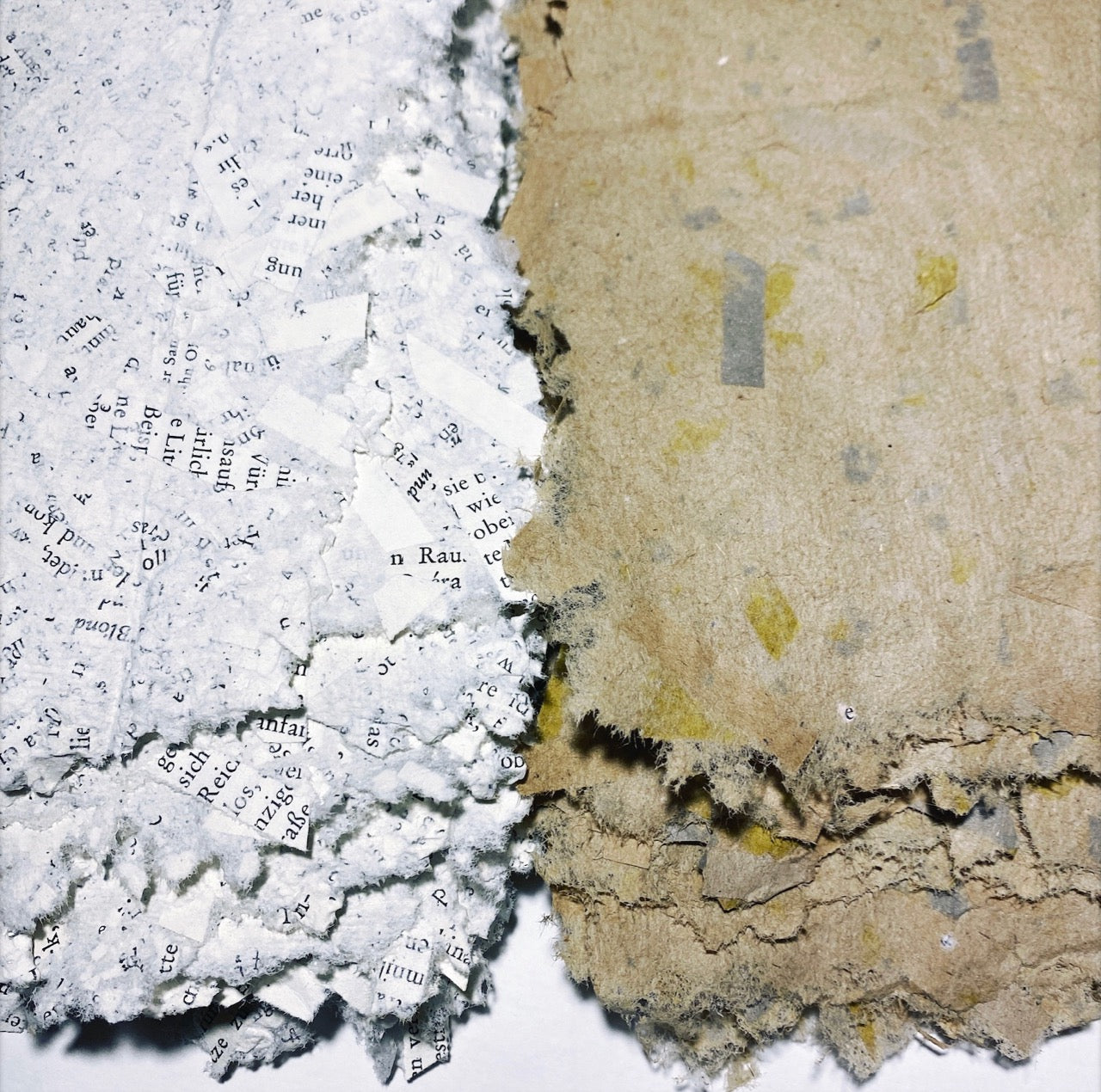 Paper making out of household waste with Sarah Grace Dye, 24th March 2026