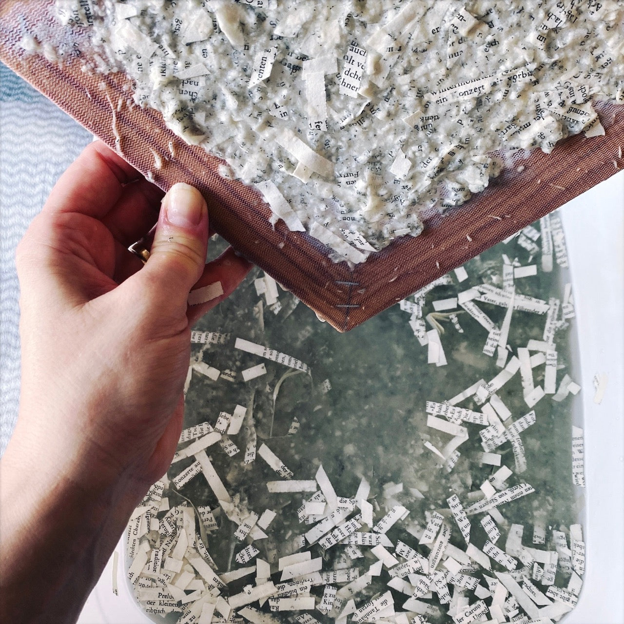 Paper making out of household waste with Sarah Grace Dye, 24th March 2026