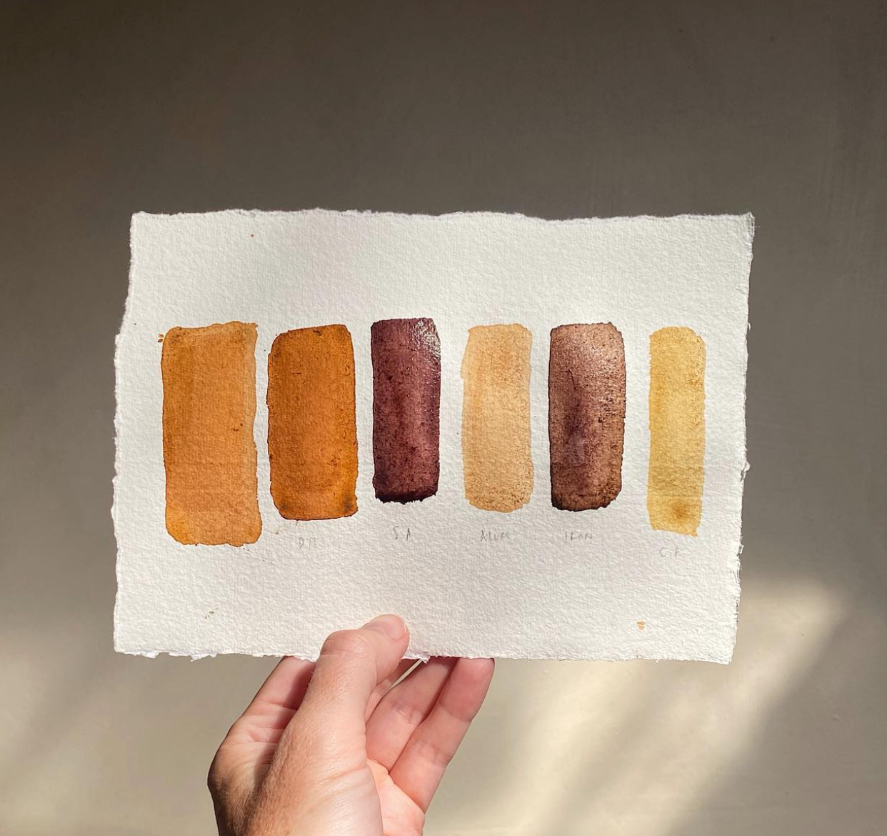 Botanical inks and paint making with Kathryn Davey, 28th April 2028