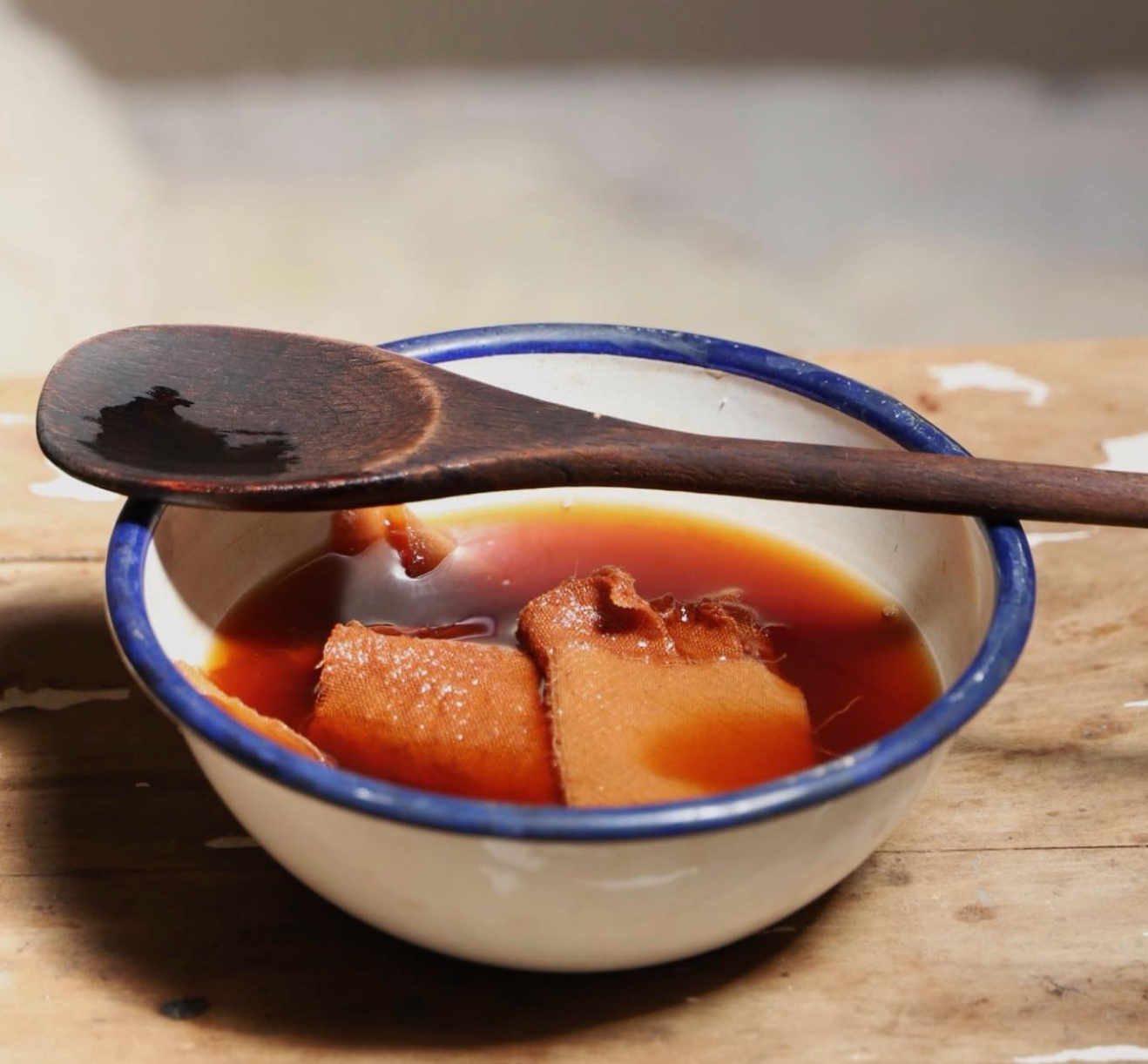 Botanical inks and paint making with Kathryn Davey, 28th April 2026