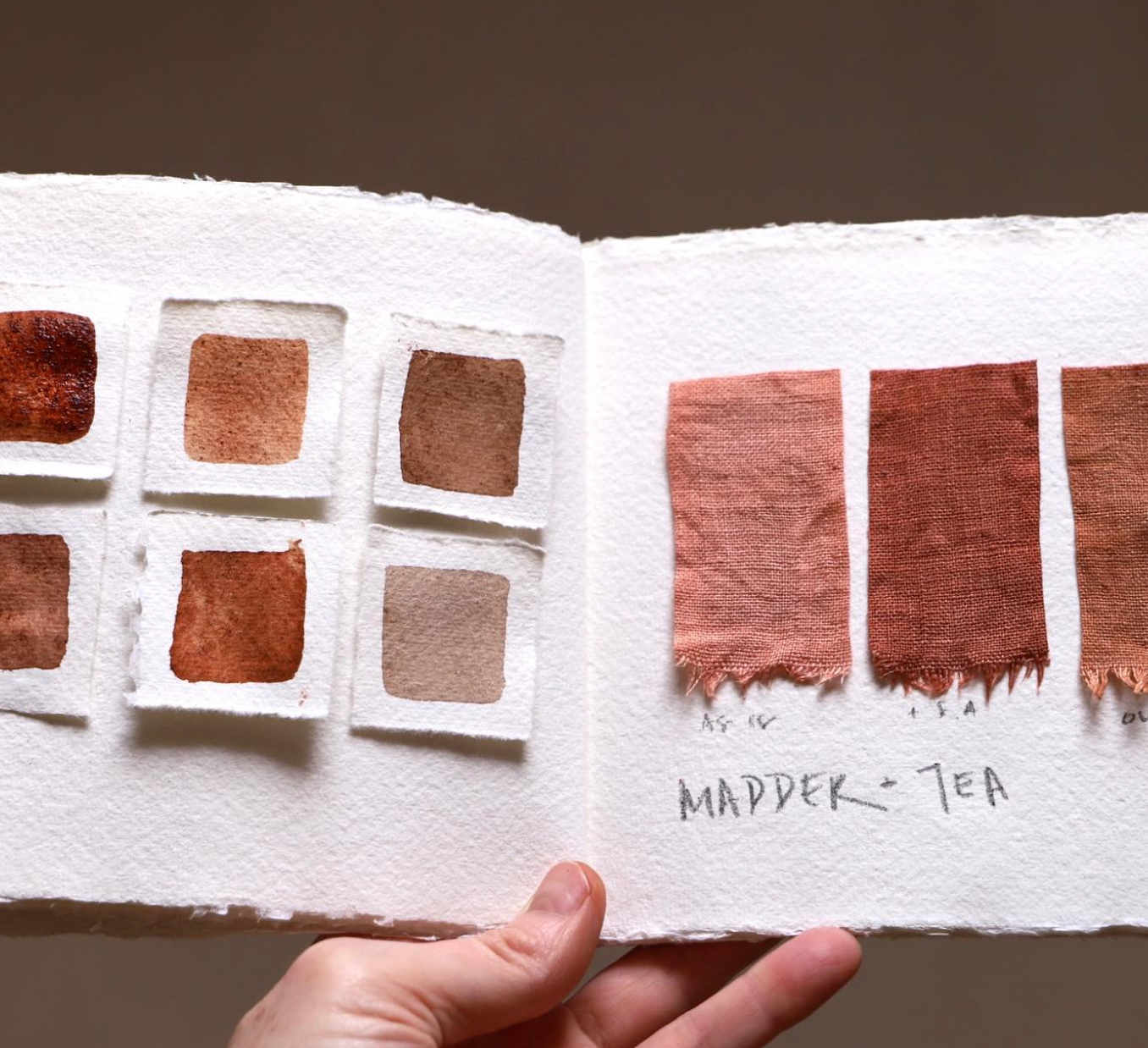 Botanical inks and paint making with Kathryn Davey, 28th April 2028