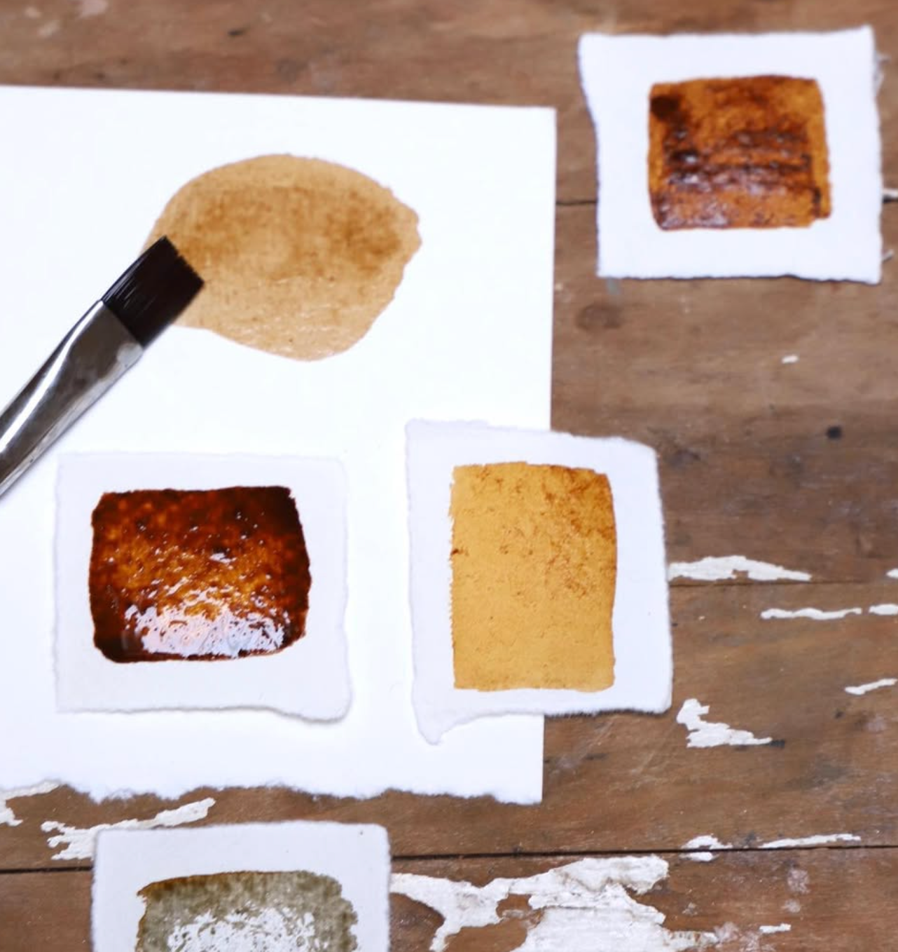 Botanical inks and paint making with Kathryn Davey, 28th April 2026