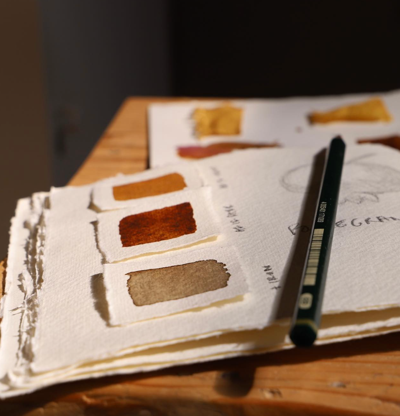 Botanical inks and paint making with Kathryn Davey, 28th April 2026