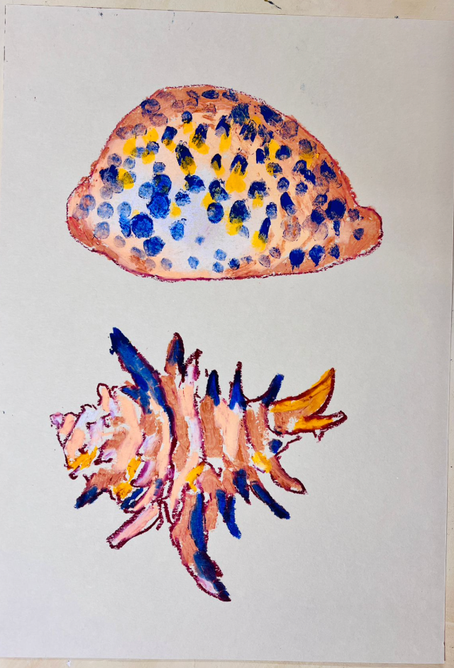 Fish and sea shell oil pastel drawing with Holly Brown, 11th November 2025