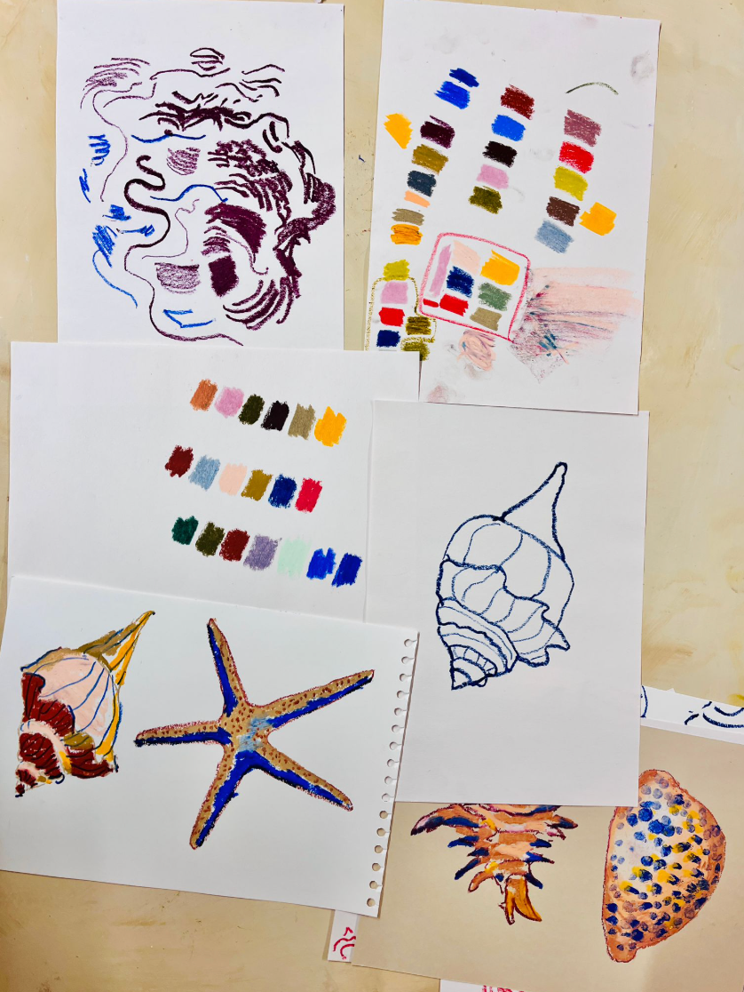 Fish and sea shell oil pastel drawing with Holly Brown, 11th November 2025