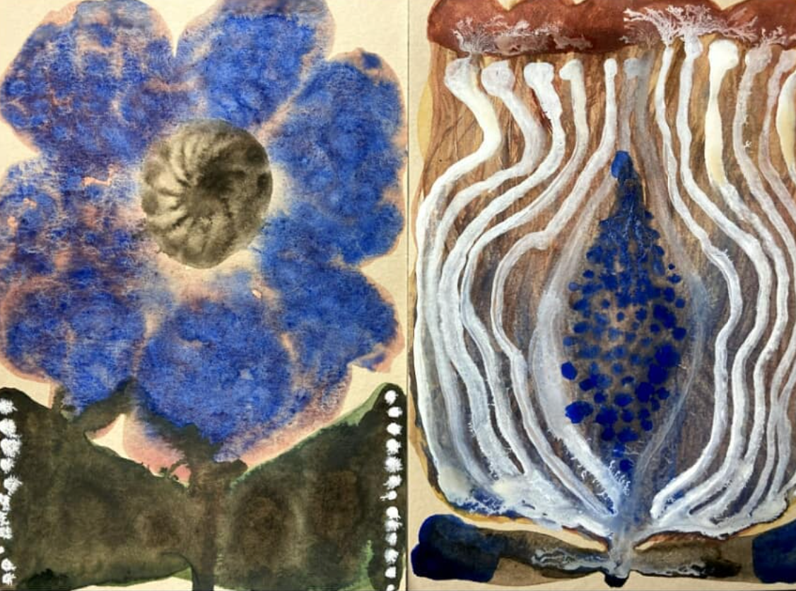 Water colour painting with Moira Frith, 25th June 2024