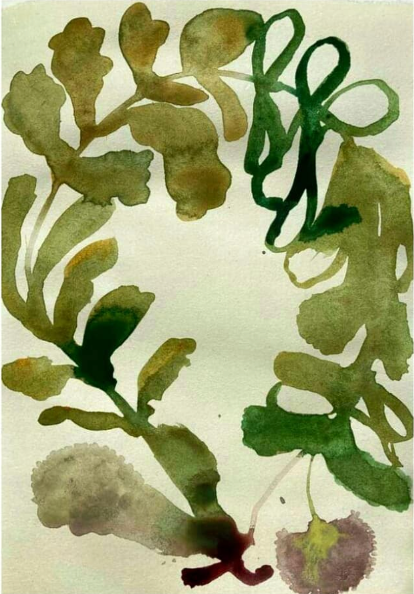 Water colour painting with Moira Frith, 25th June 2024