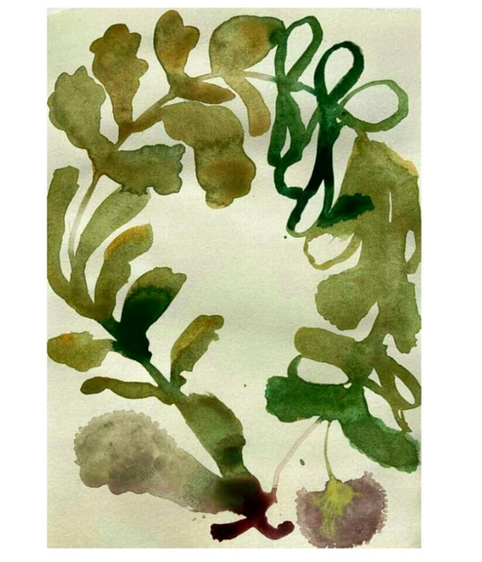 Water colour painting with Moira Frith 5th Sept 2023