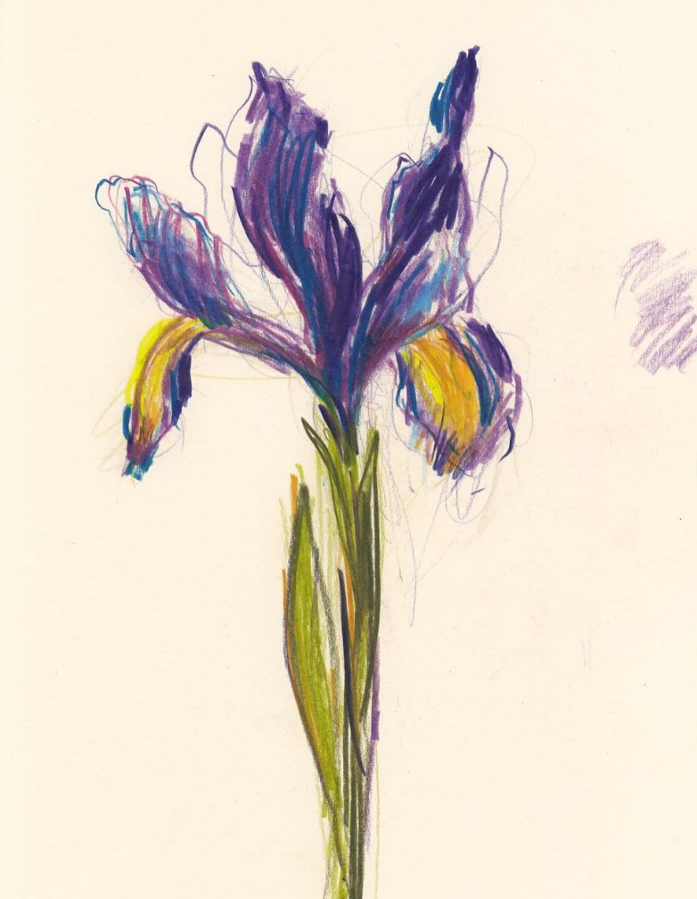 Colour pencil drawing with Claudia Lowry, 23rd May 2023