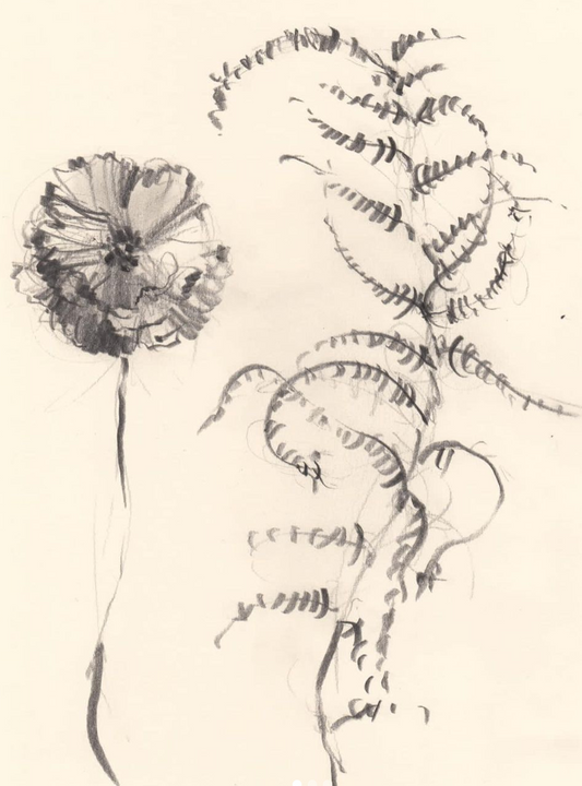 Graphite and Colour pencil with Claudia Lowry, 14th Jan 2023