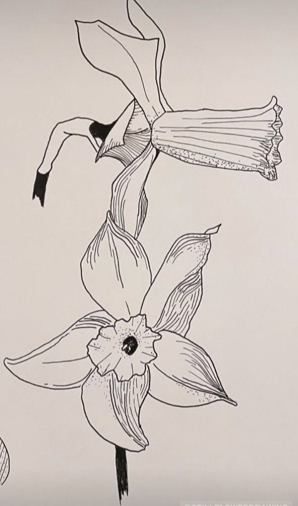 Finer liner drawing with Cecilia Pettersson, 27th Feb 2024