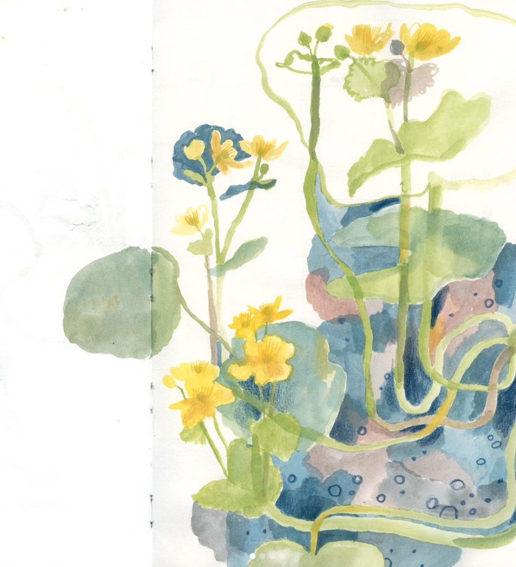 Mixed media drawing with Olga Ptashnik, 12th Nov 2024