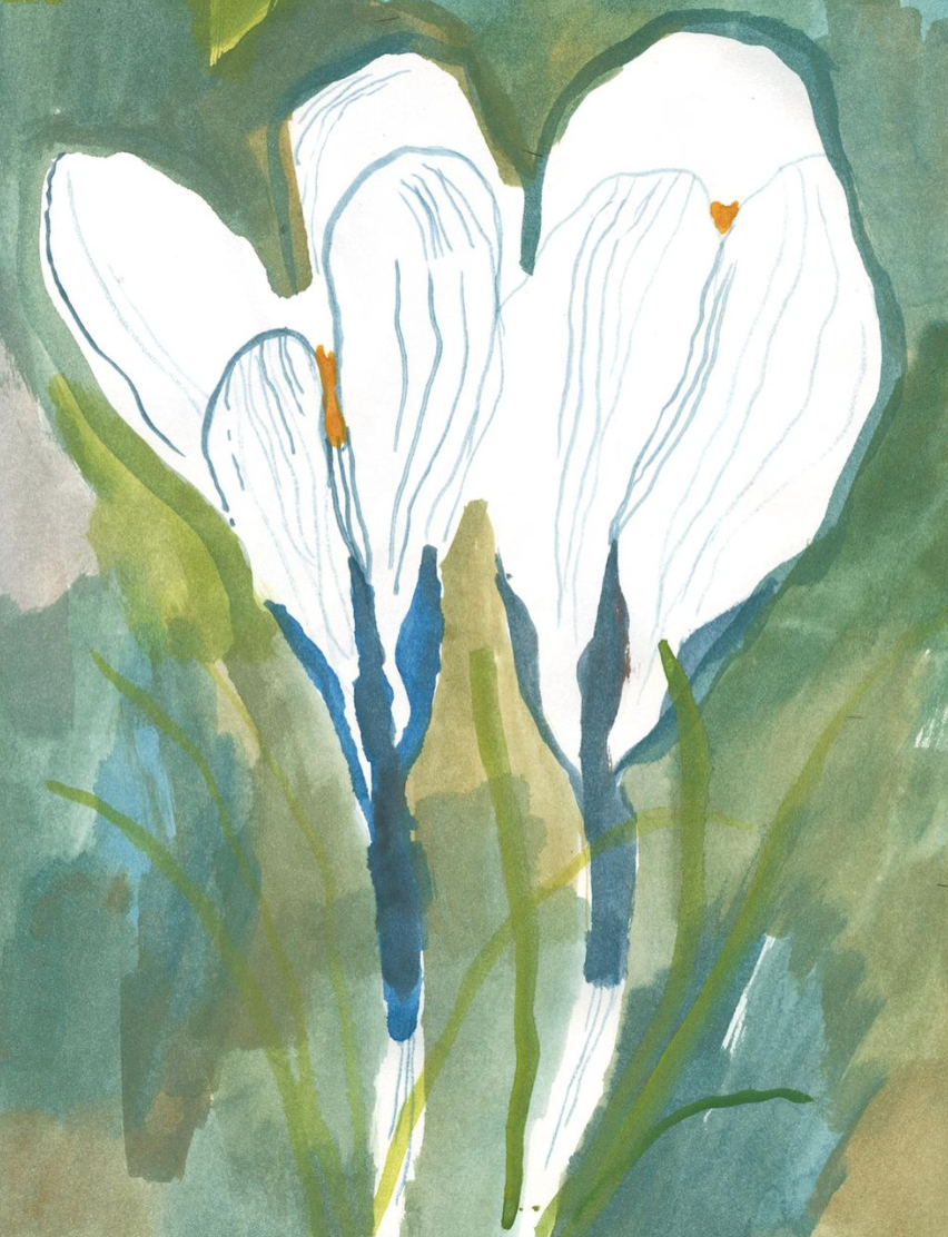 Mixed media drawing with Olga Ptashnik, 12th Nov 2024