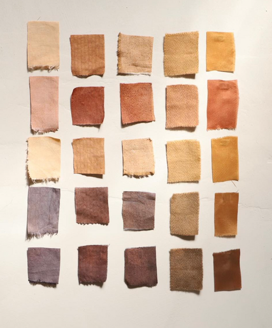 Botanical inks and paint making with Kathryn Davey, 28th April 2026