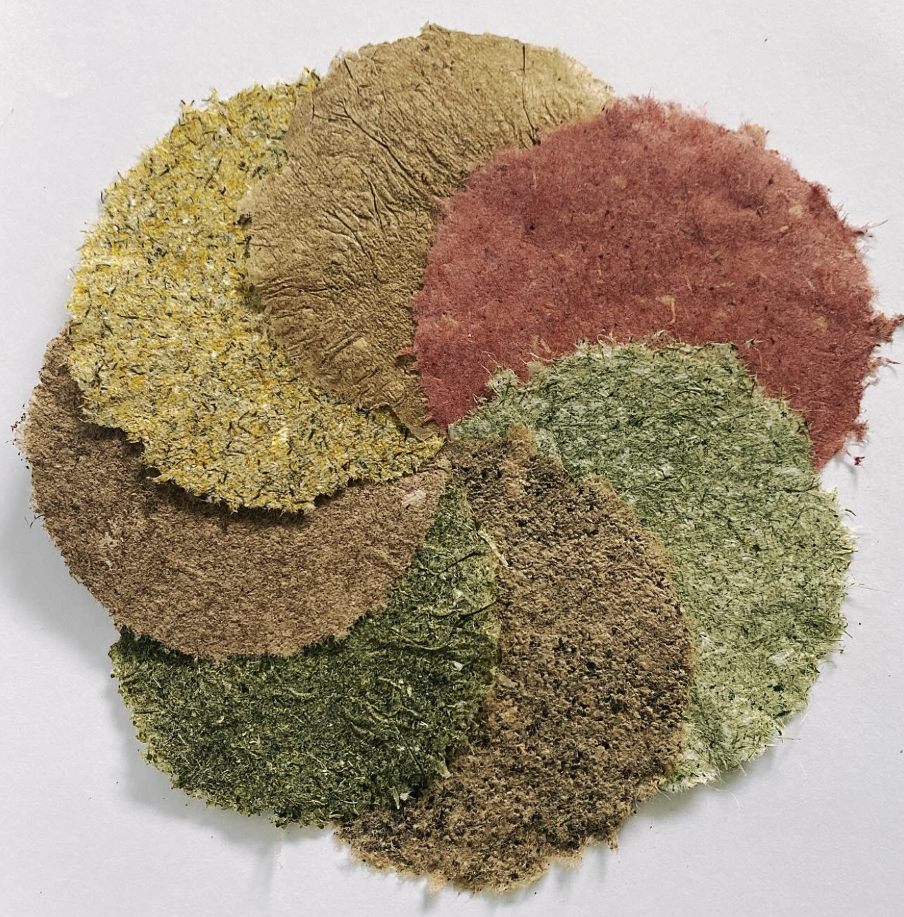 Paper making out of household waste with Sarah Grace Dye, 24th March 2026