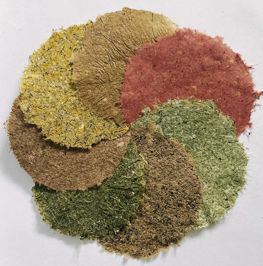 Paper making out of household waste with Sarah Grace Dye, 24th March 2026