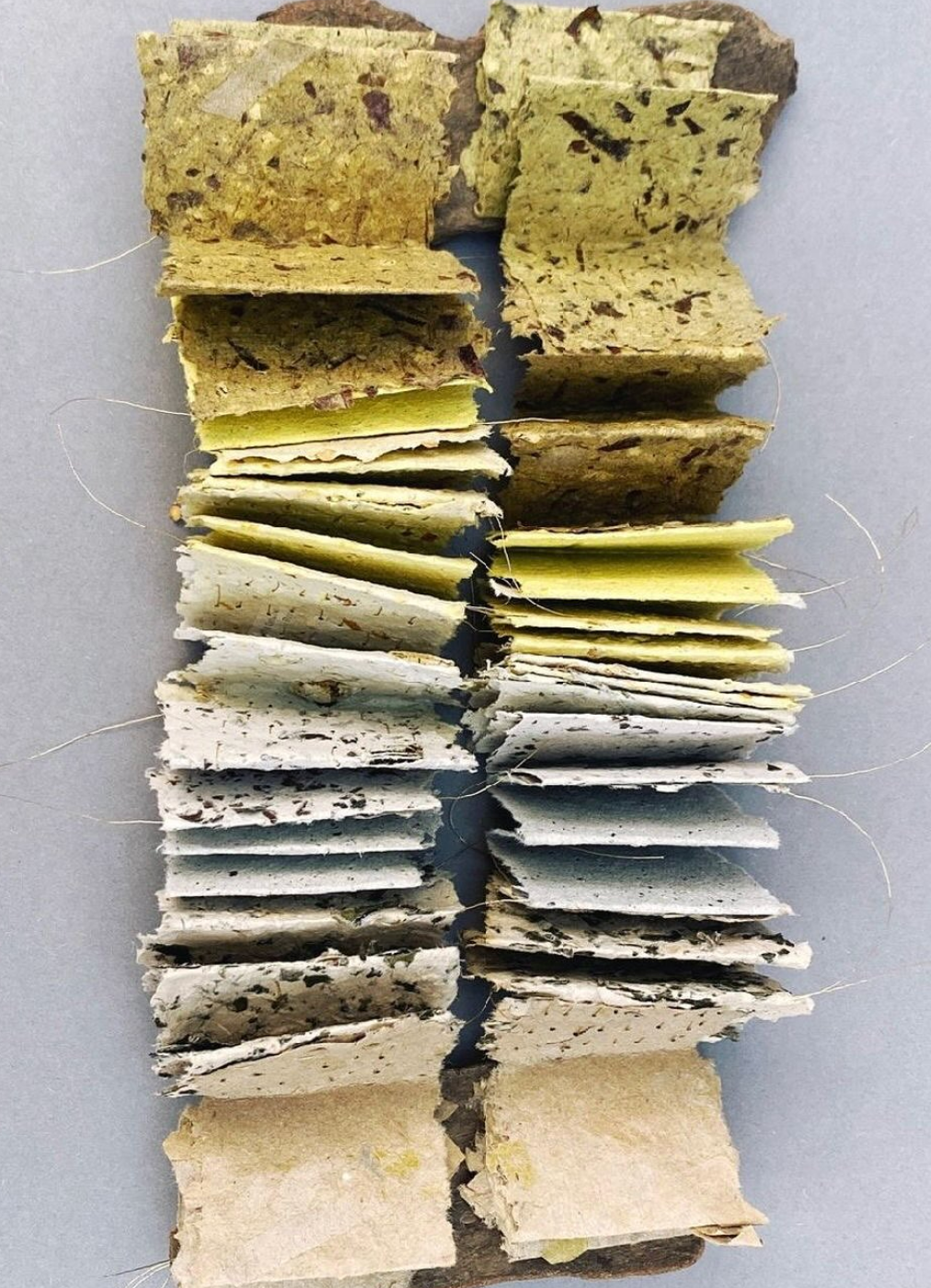 Paper making out of Household waste with Sarah Grace Dye, 24th March 2026