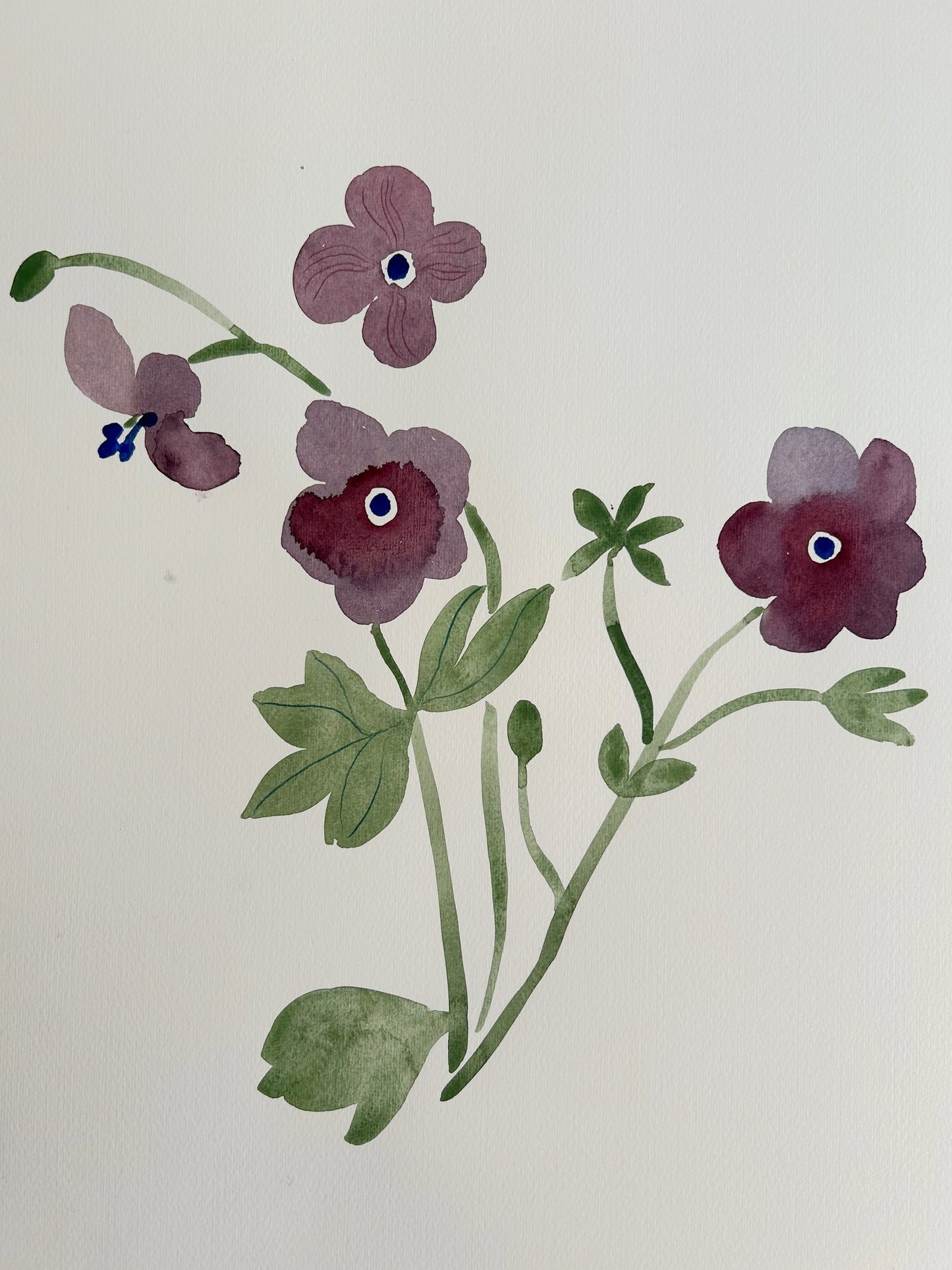 Watercolours and coloured pencils with Anine Cecile Iverson, 14th May 2024