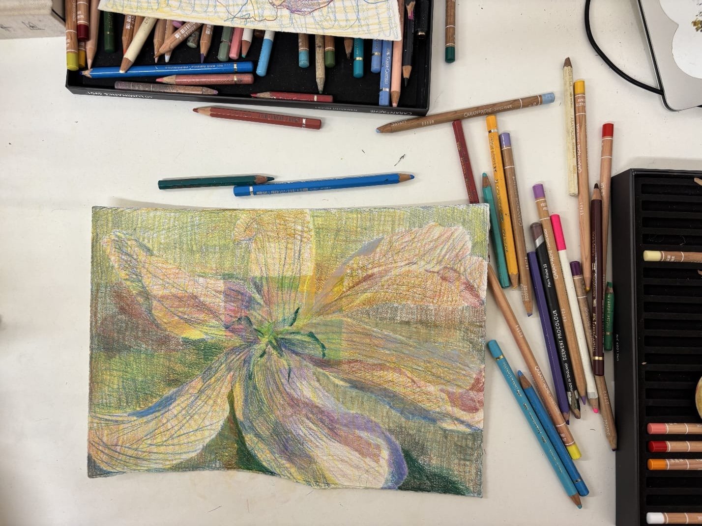 Colour pencil drawing with Orla Kane, 29th April 2025